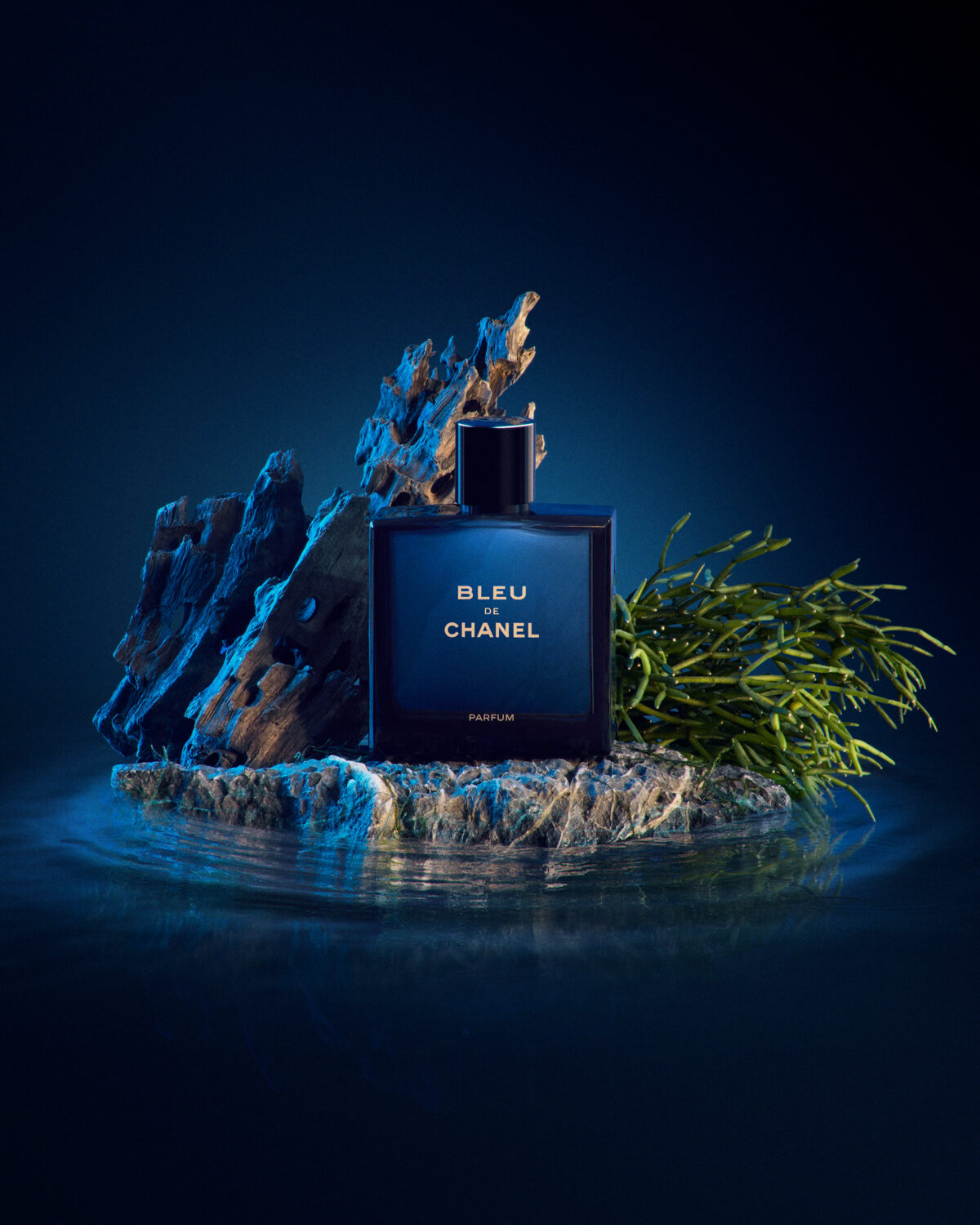 Bleu De Channel - Görsel 1